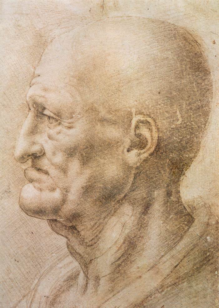 Profile of an old man av Leonardo da Vinci