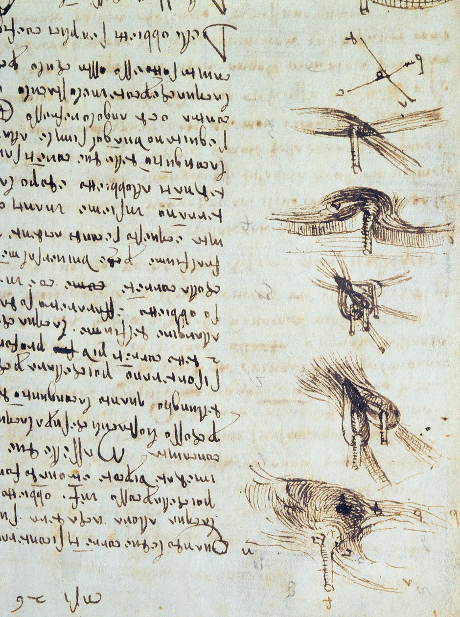 Vetenskapliga diagram, från Codex Leicester, 1508-12 sepia bläck på linnepappersdetalj av 227790 av Leonardo da Vinci