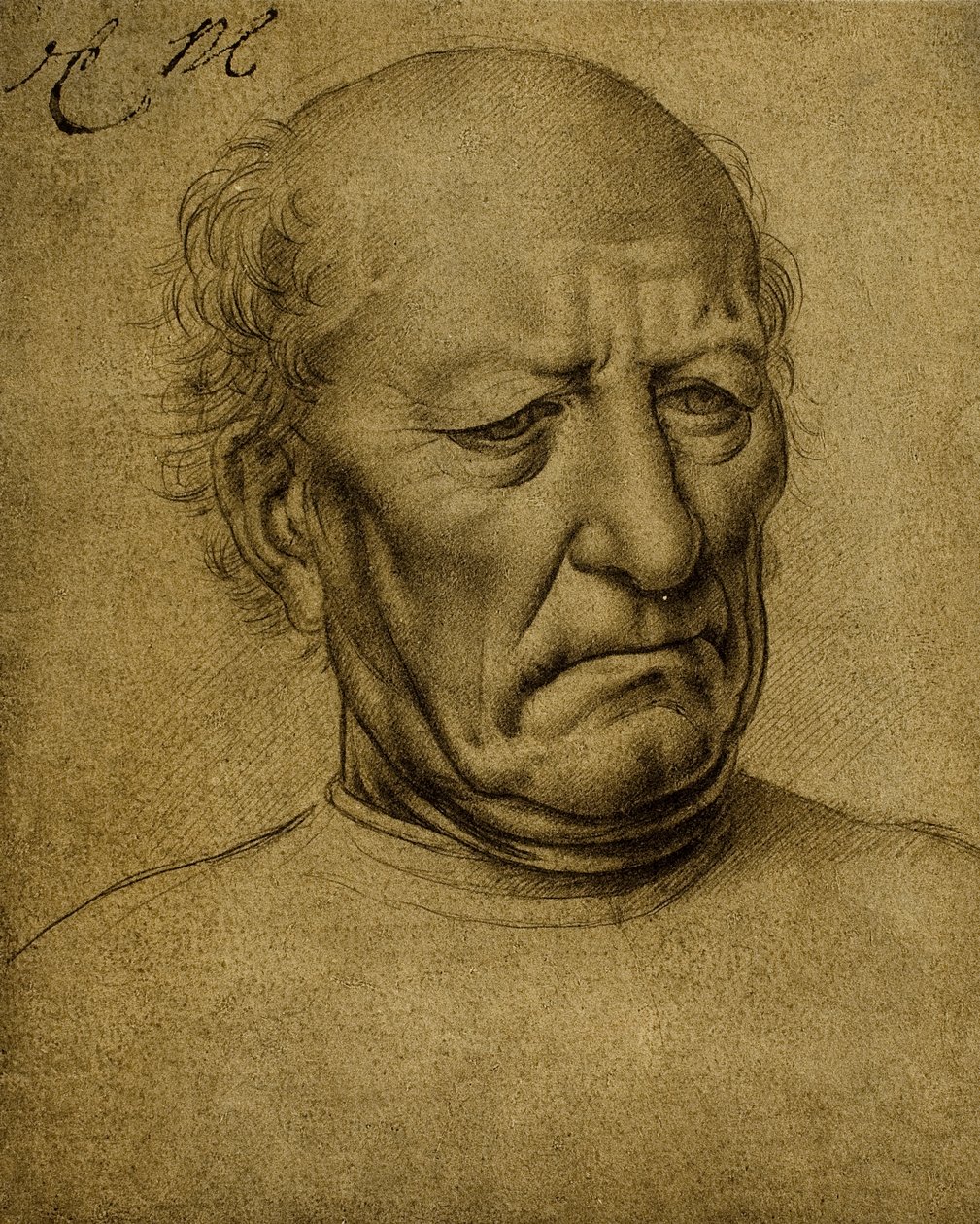 Senilt manligt porträtt; teckning av Leonardo da Vinci. Louvren, Paris av Leonardo da Vinci