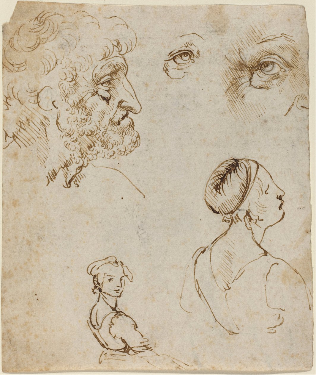 Sheet of Studies (recto) av Leonardo da Vinci