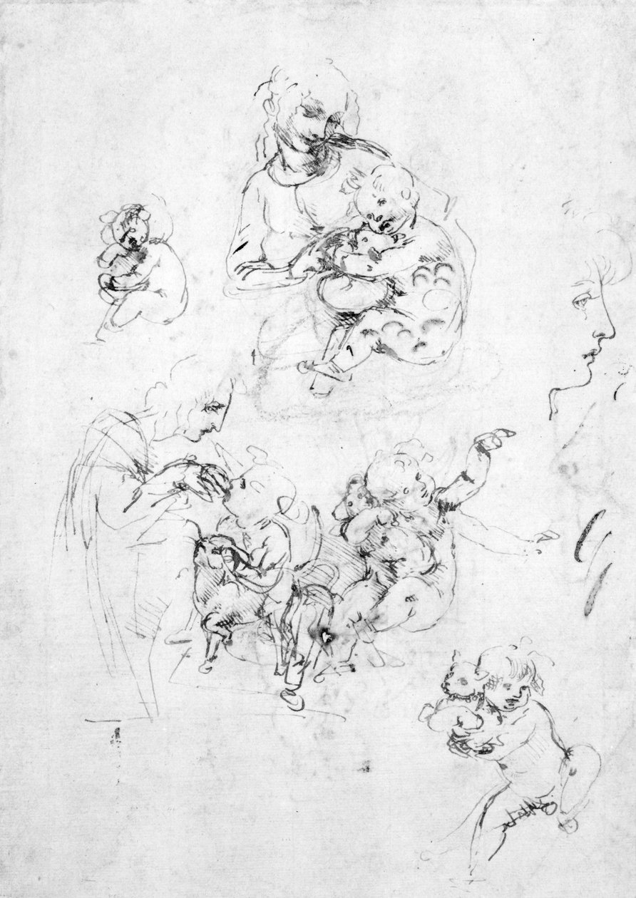 Studier för en Madonna med en katt, ca 1478-80 (penna och bläck över svart krita på papper) av Leonardo da Vinci