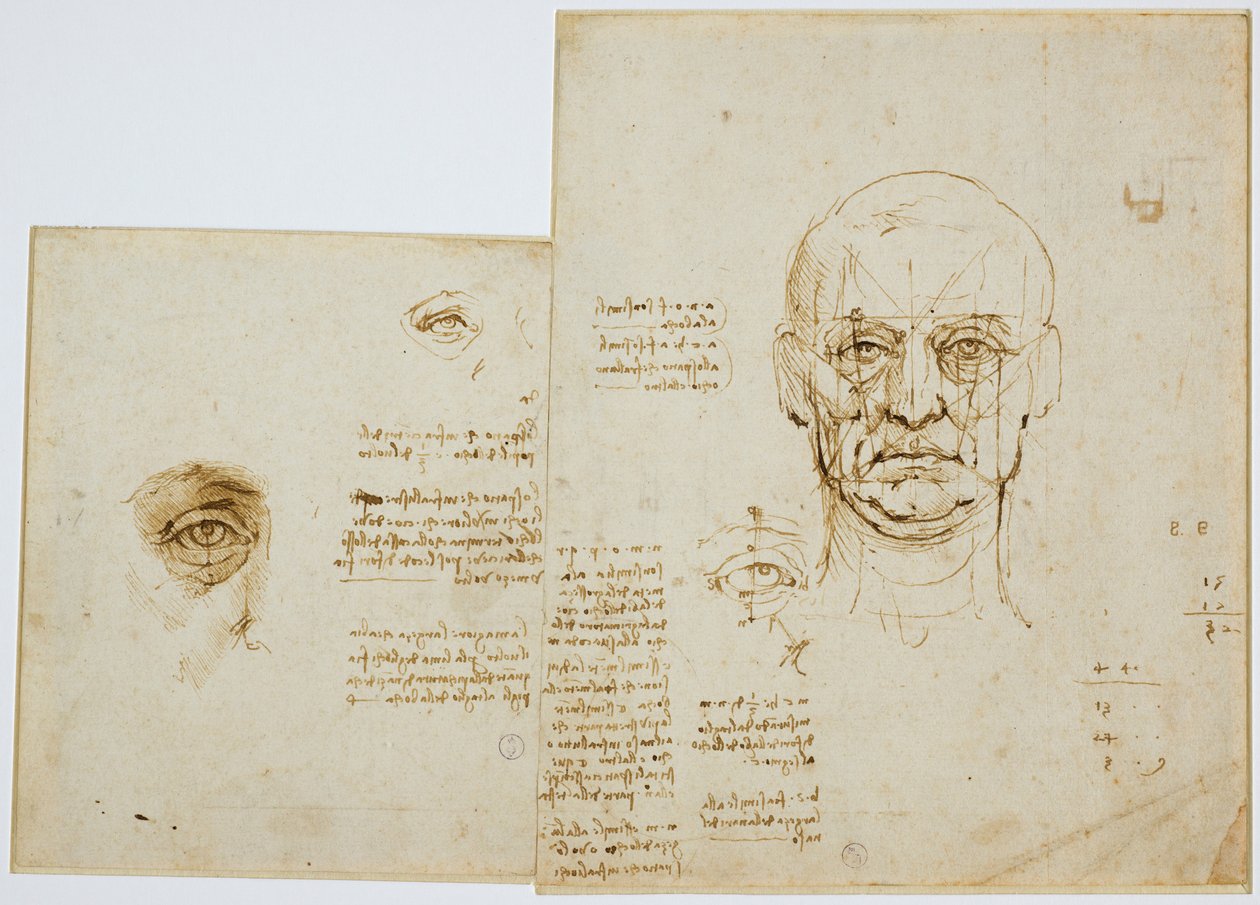 Studier av proportioner av ansikte och ögon (med anteckningar), c. 1489-90 (metallisk spets, penna och brunt bläck på papper) av Leonardo da Vinci