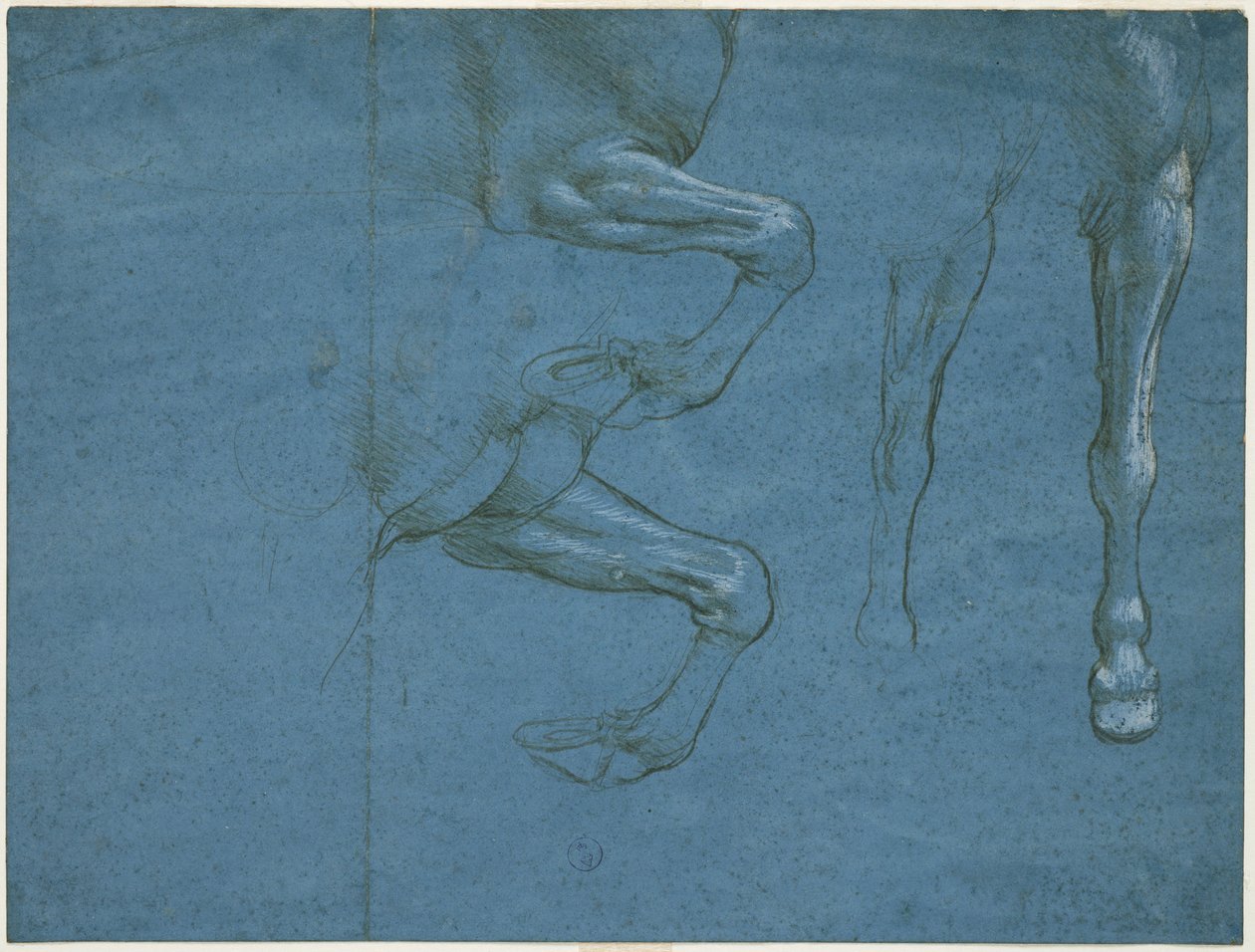 Studier av hästens framben, ca. 1490 (metallisk spets och kalk på blått förberett papper) av Leonardo da Vinci