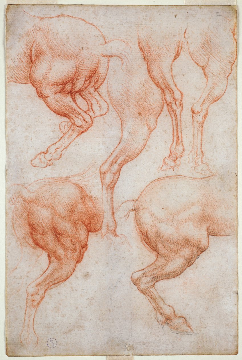 Studier av hästens bakben, ca. 1508 (blod med inslag av svart penna på papper) av Leonardo da Vinci