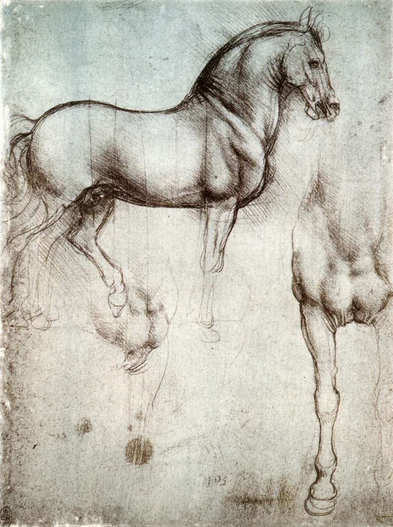 Study of horses av Leonardo da Vinci