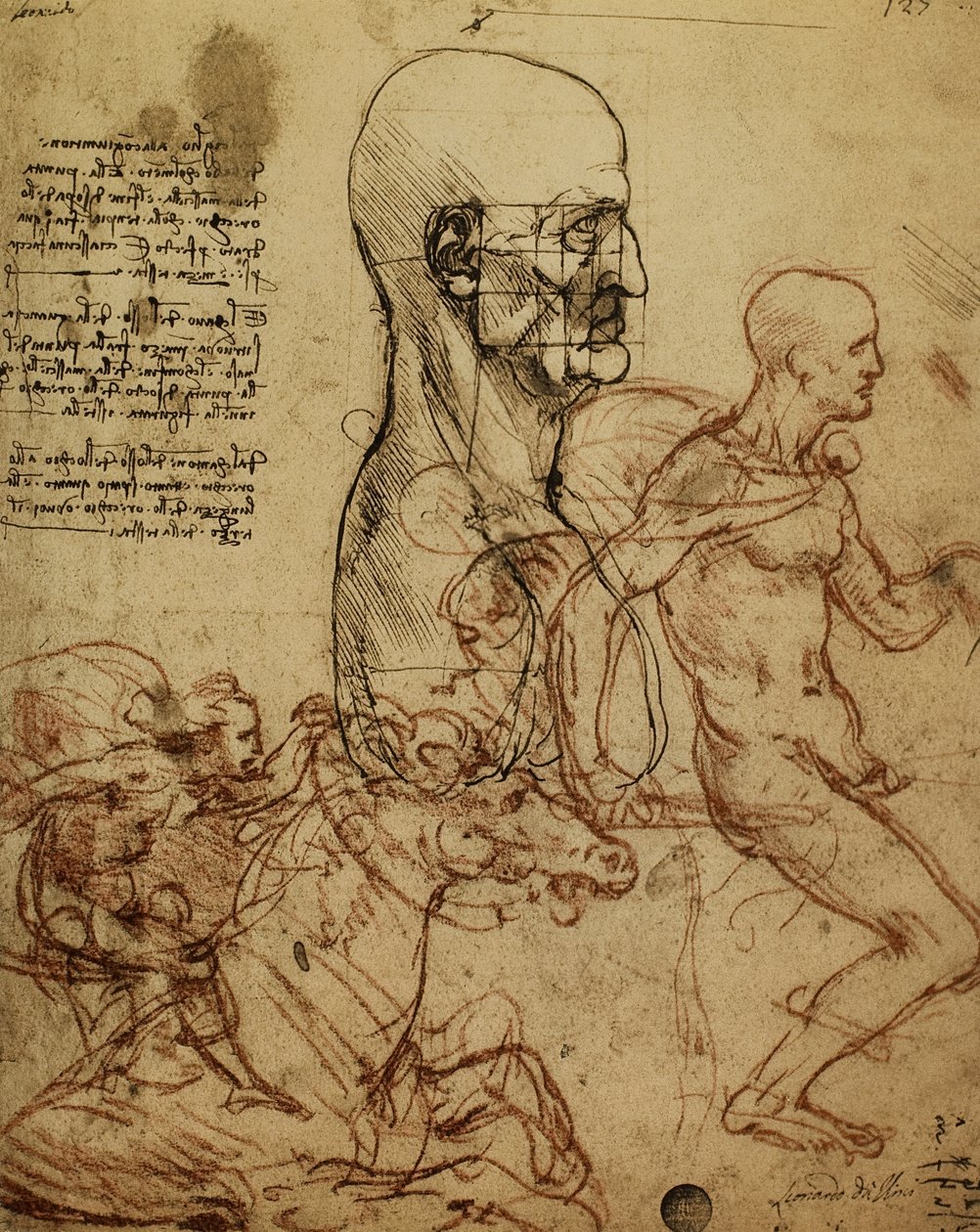 Studie av mänsklig fysionomi och ryttare för målningen av slaget vid Anghiari; teckning av Leonardo da Vinci. Gallerie dellAccademia, Venedig av Leonardo da Vinci