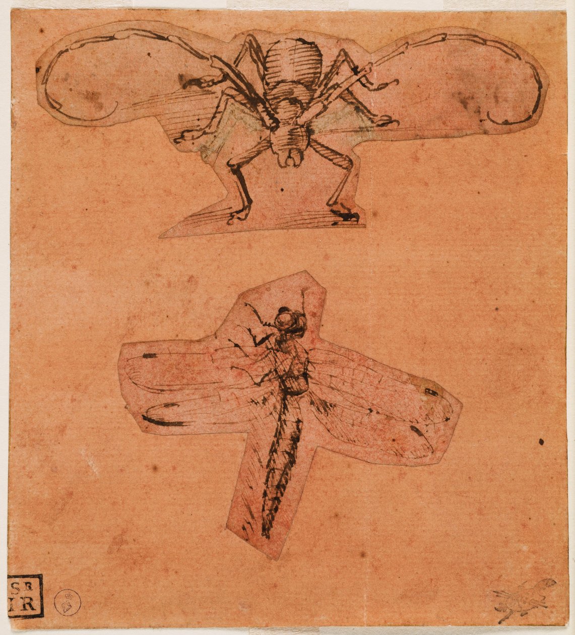 Suesuega o iniseti, i. 1480 (ata pito i luga) ma le i. 1503-1505 (tusi pito i lalo) (peni ma vaitusi i luga o se pepa lanu mumu, ata ua tipi ese ma fa