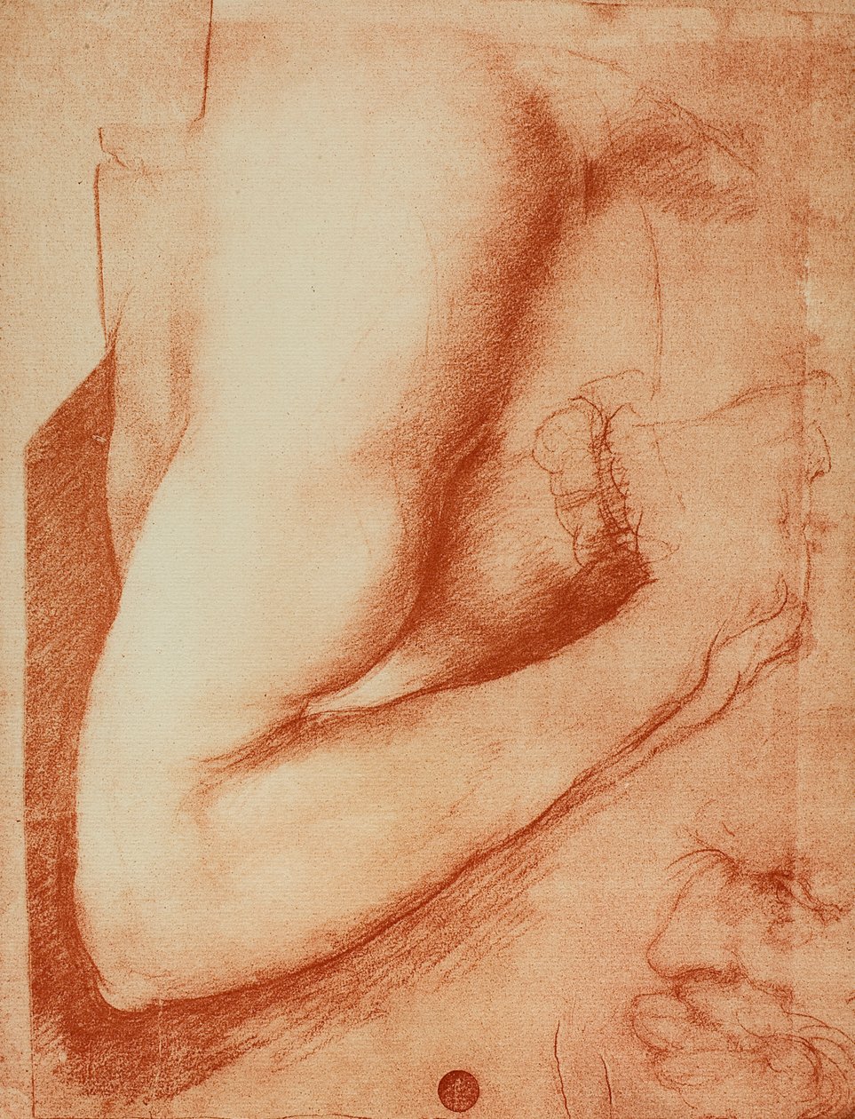 Studie av en arm, teckning av Leonardo da Vinci. Gallerie dell