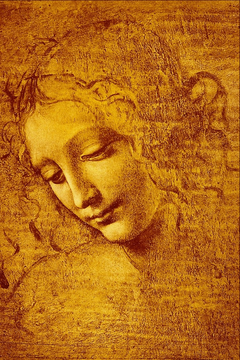 Testa di Fanciulla detta La... av Leonardo da Vinci