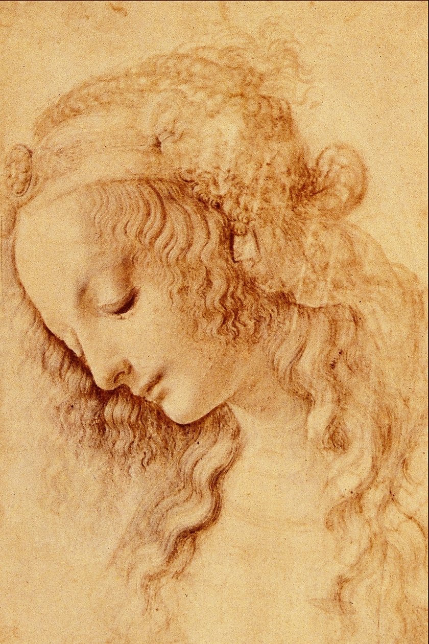 Teste di Donna di Profilo av Leonardo da Vinci