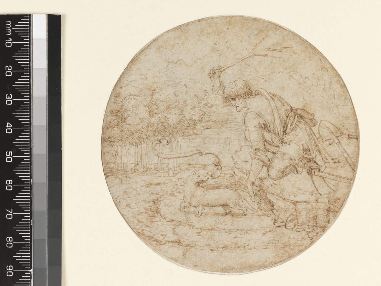 Hermelinen som en symbol för renhet, ca 1494 (penna och brunt bläck över svart på papper) av Leonardo da Vinci