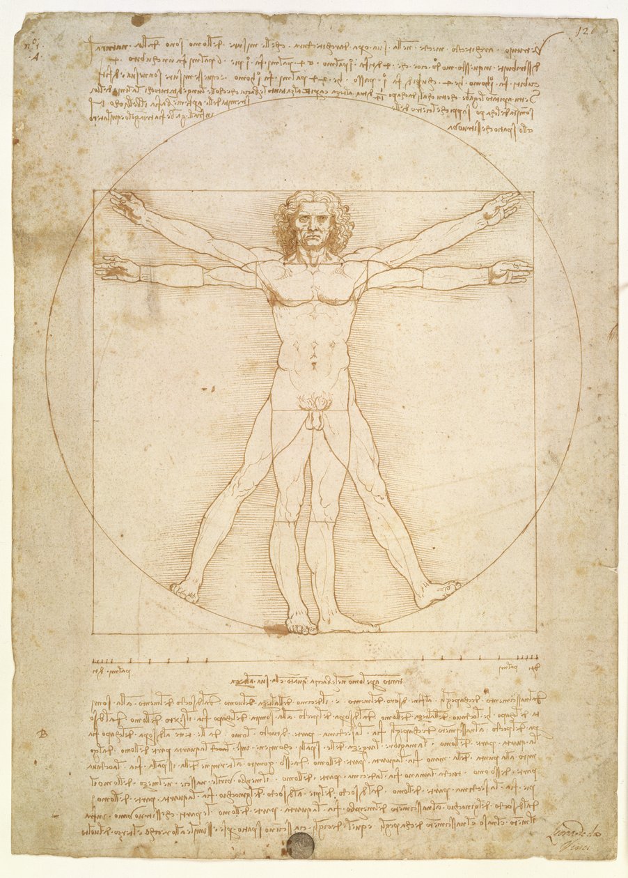 Människofigurens proportioner (efter Vitruvius), c.1492 av Leonardo da Vinci