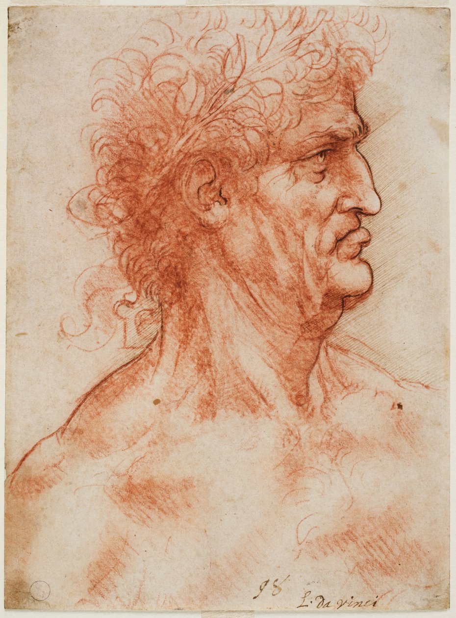 Virilt profilhoved kronet med laurbær, ca. 1506-10 (blod med konturer genkrydset i pen på hvidt papir) swed av Leonardo da Vinci
