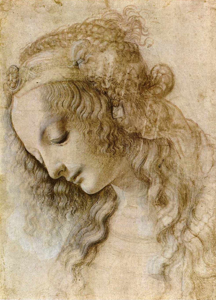 Weiblicher Kopf im Profil av Leonardo da Vinci