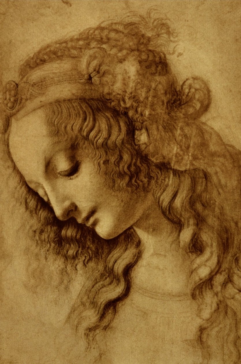 Woman in Profile av Leonardo da Vinci