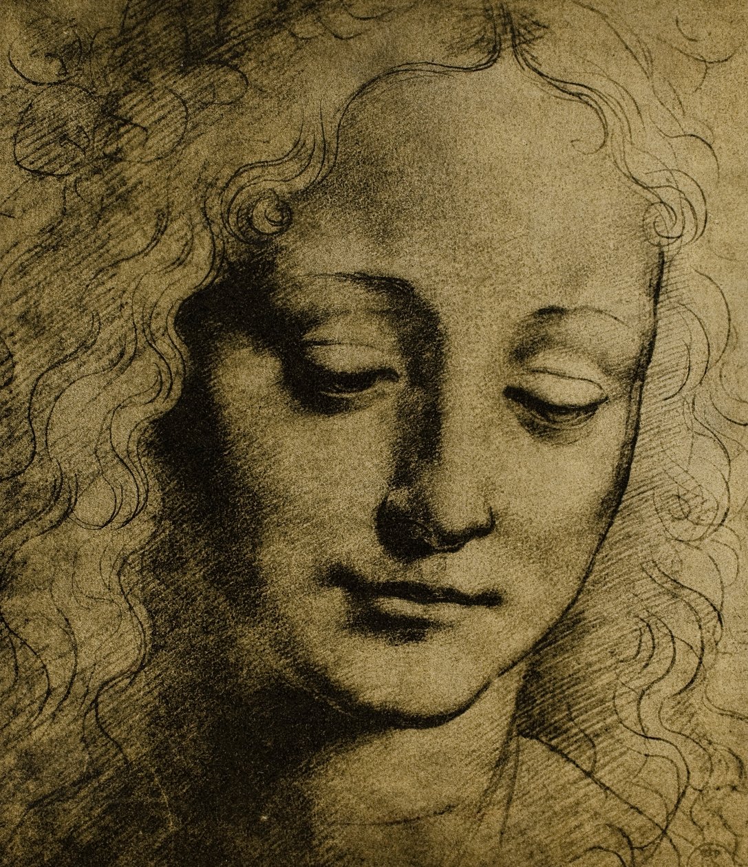 Ungdomars huvud; teckning av Leonardo da Vinci. Cabinet of Drawings and Prints, Uffizi Gallery, Florens av Leonardo da Vinci