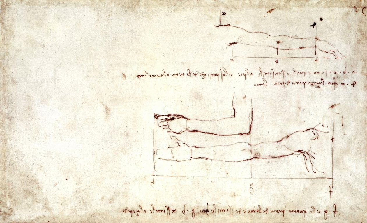 braccio av Leonardo da Vinci