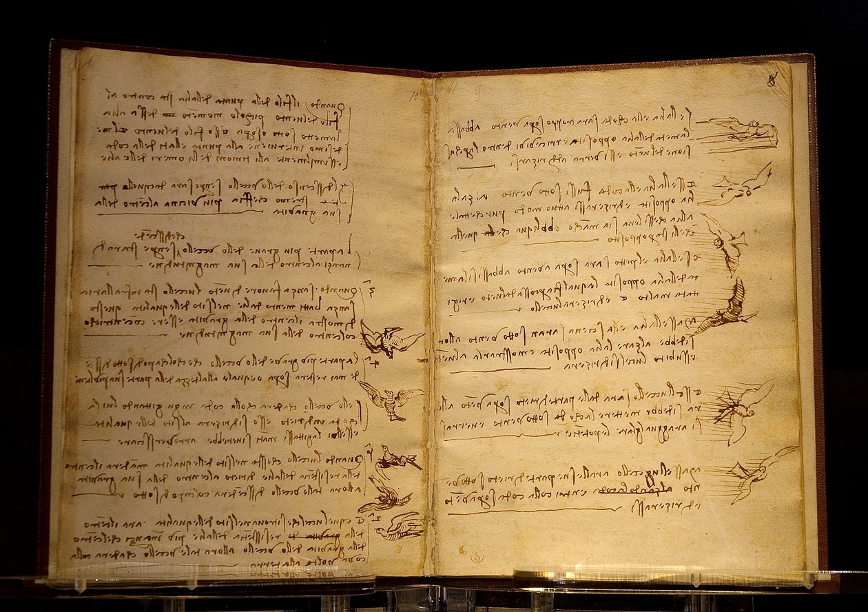 codex du vol des oiseaux Luc Viatour av Leonardo da Vinci