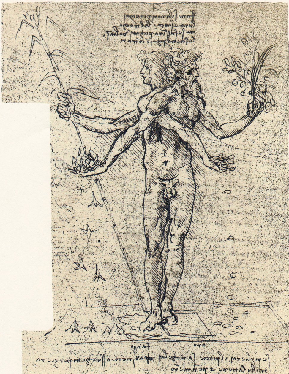 unknown drawing of androgyn corpus with two heads av Leonardo da Vinci