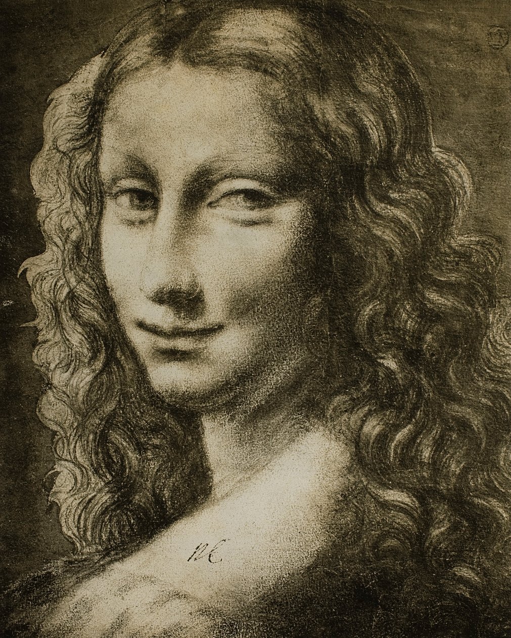 Porträtt av en kvinna; teckning från Leonardos skola. Louvren, Paris av Leonardo da school of Vinci