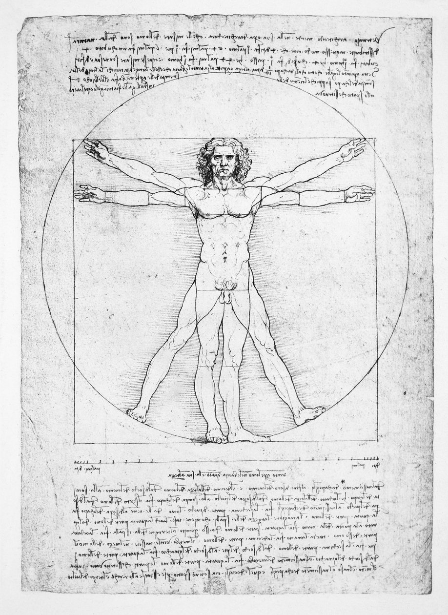 Människofigurens proportioner (efter Vitruvius), c.1492 (faksimil) av Leonardo da (after) Vinci