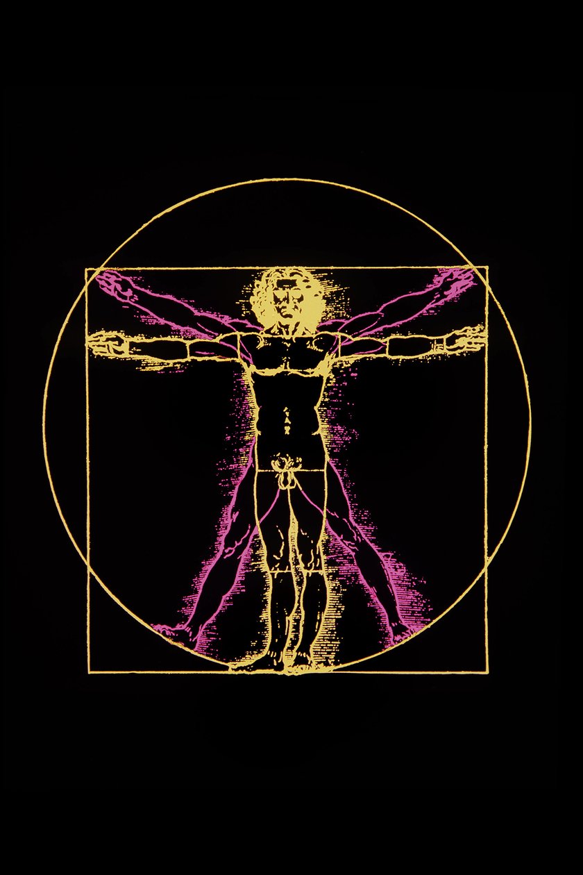 Vitruvian Man av Leonard da Vinci, c.1970 av Leonardo da (after) Vinci