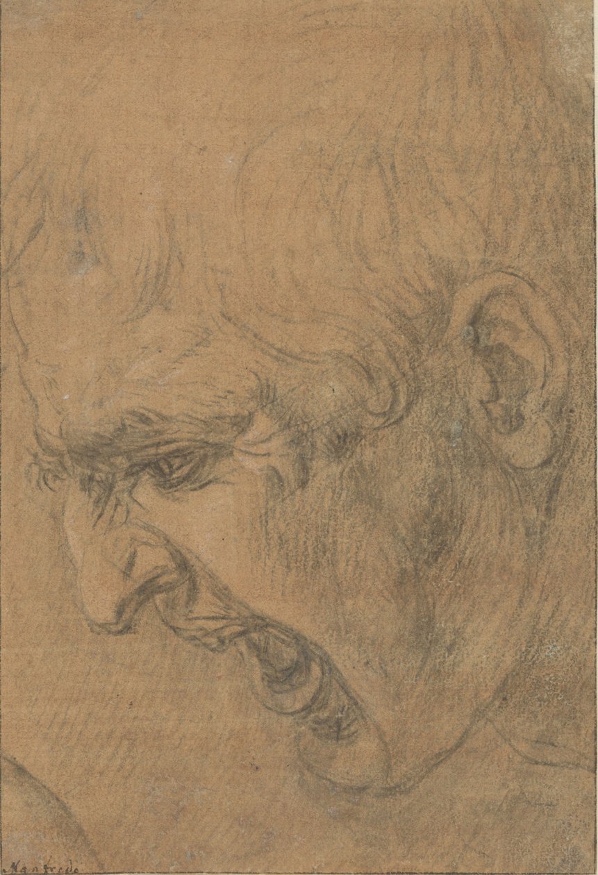 Huvudet på en skrikande man av Leonardo da (follower of) Vinci