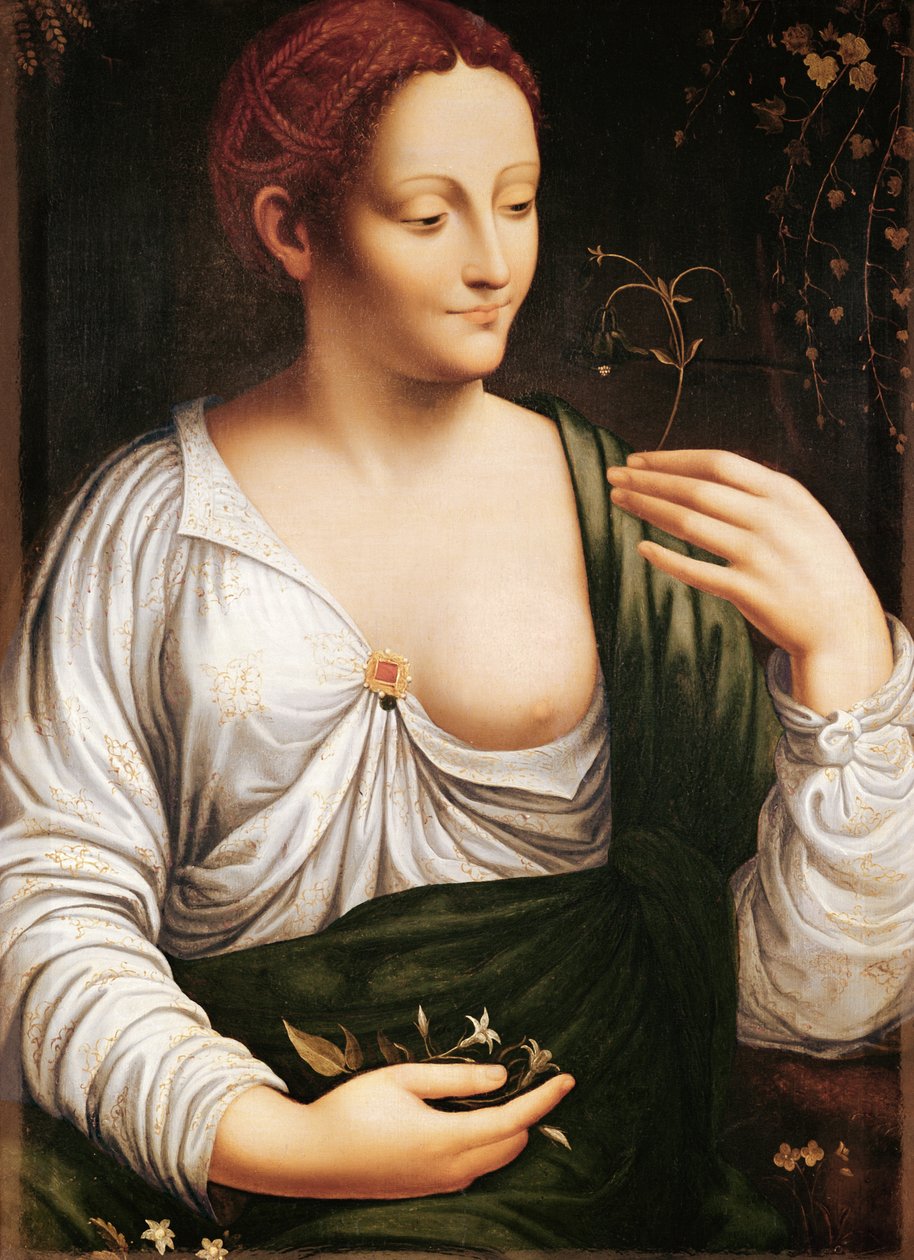  av Leonardo da (school of) Vinci