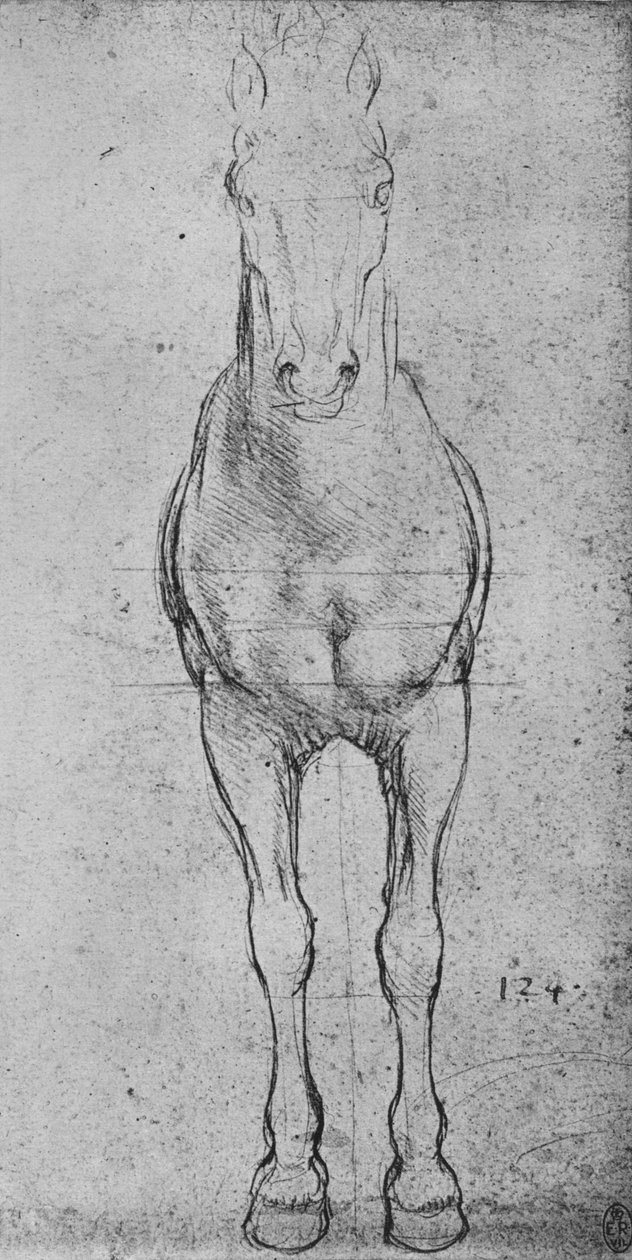 En häst sedd framifrån, c1480 1945 av Leonardo da Vinci