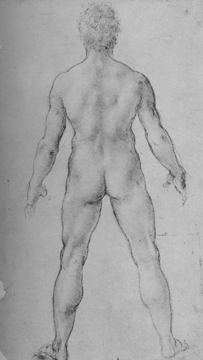En naken man sett från baksidan, c1480 1945 av Leonardo da Vinci