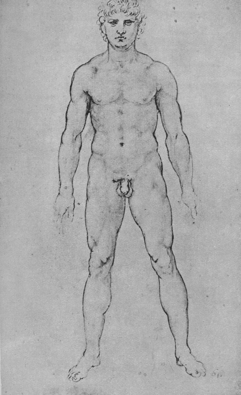 En naken man sett från fronten, c1480 1945 av Leonardo da Vinci