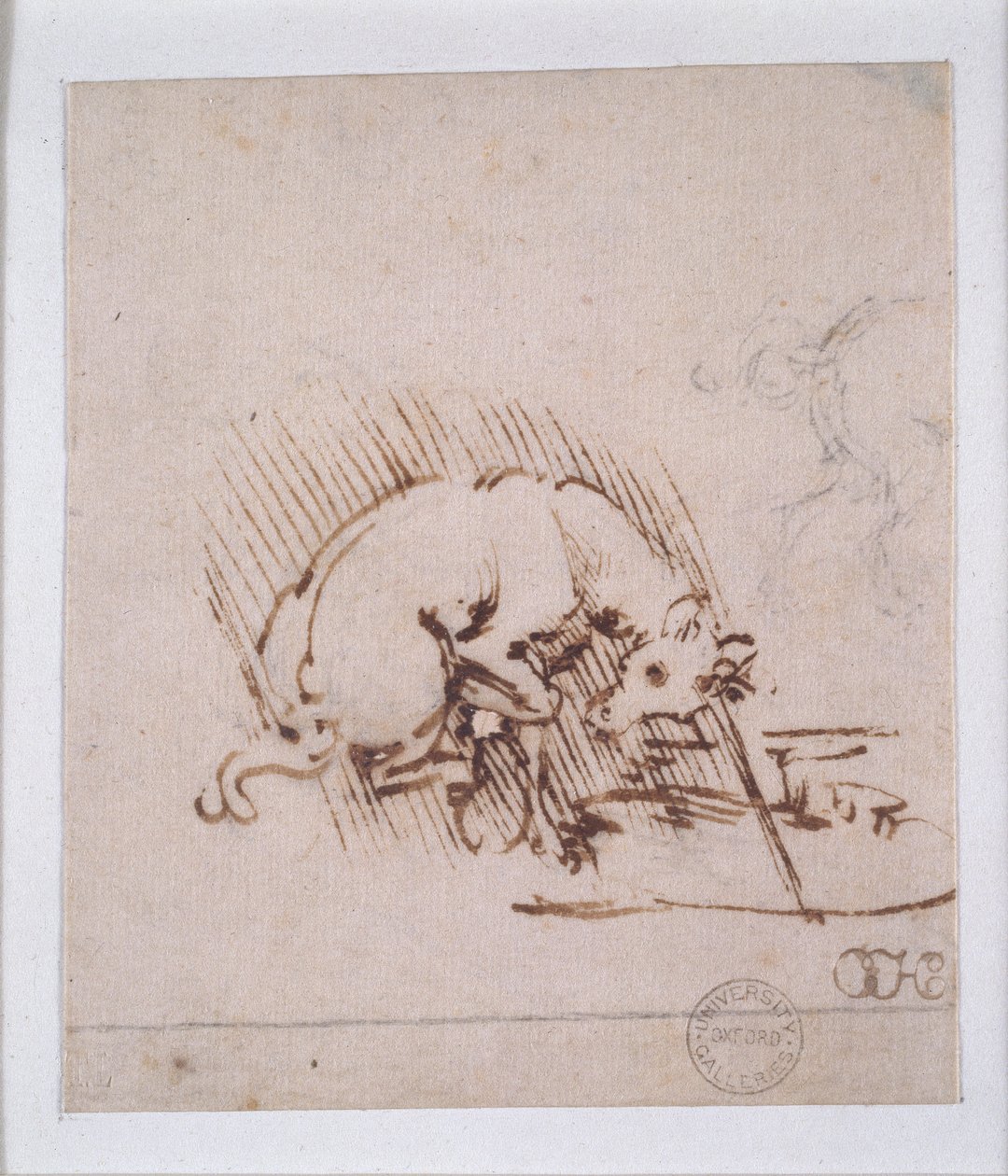 En enhörning, c1472-1519 av Leonardo da Vinci