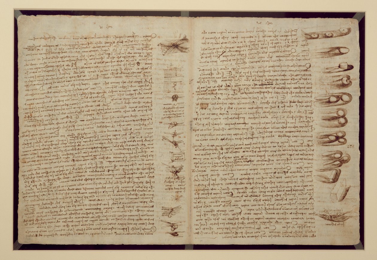 En sida från Codex Leicester, 1508-12 (sepia bläck på linnepapper) av Leonardo da Vinci