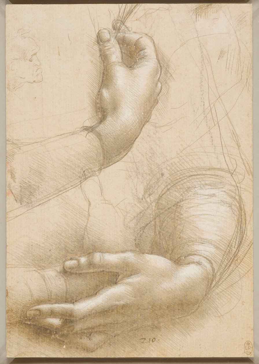 Armar och kvinnliga händer, c. 1480. av Leonardo da Vinci