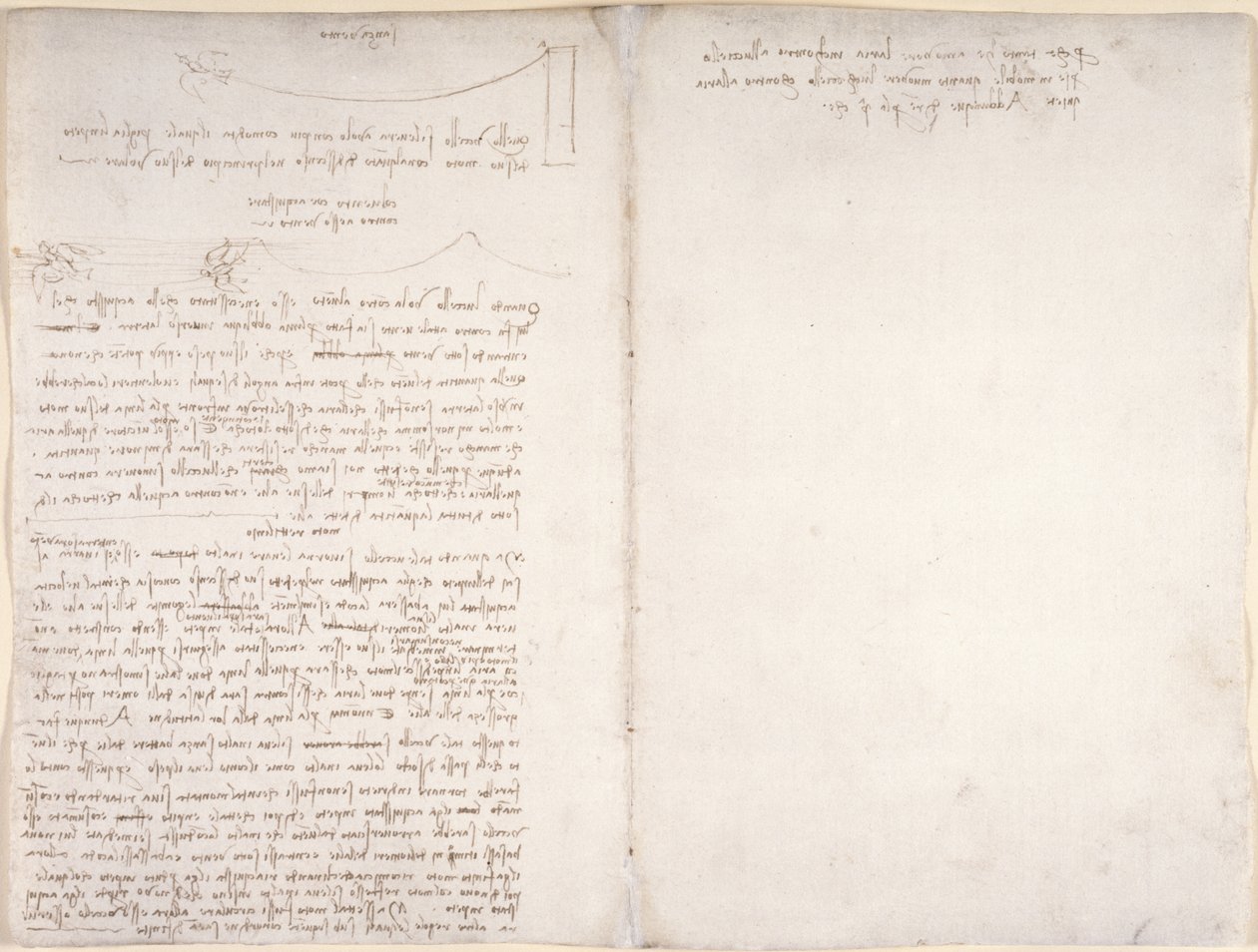 Arundel 263, f.166v, f.163 Anteckningar och diagram om fåglarnas flygning, från 