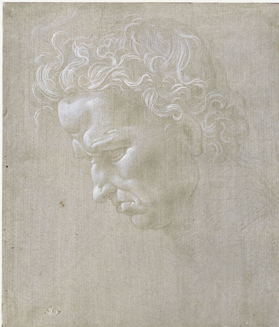 En mans ansikte i profil av Leonardo da Vinci