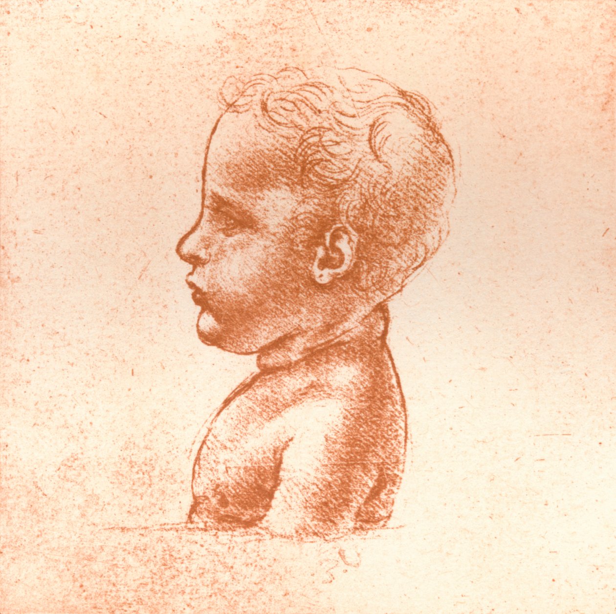 Byst av en pojke, c1472-c1519 1883 av Leonardo da Vinci