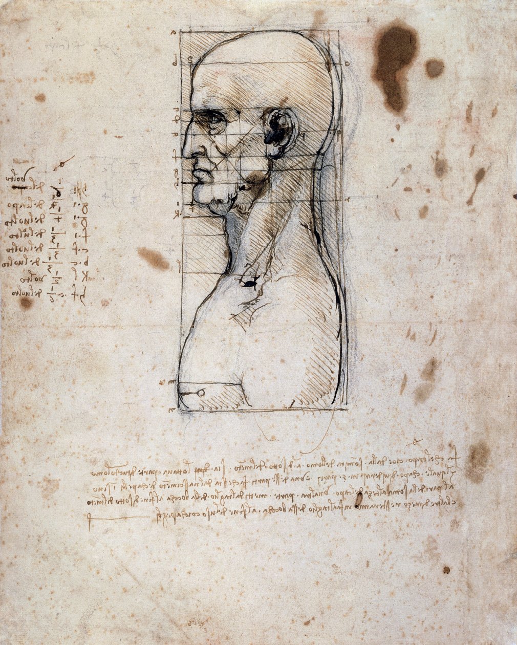 Byst av en man i profil med mått och anteckningar (sepia bläck på linnepapper) av Leonardo da Vinci