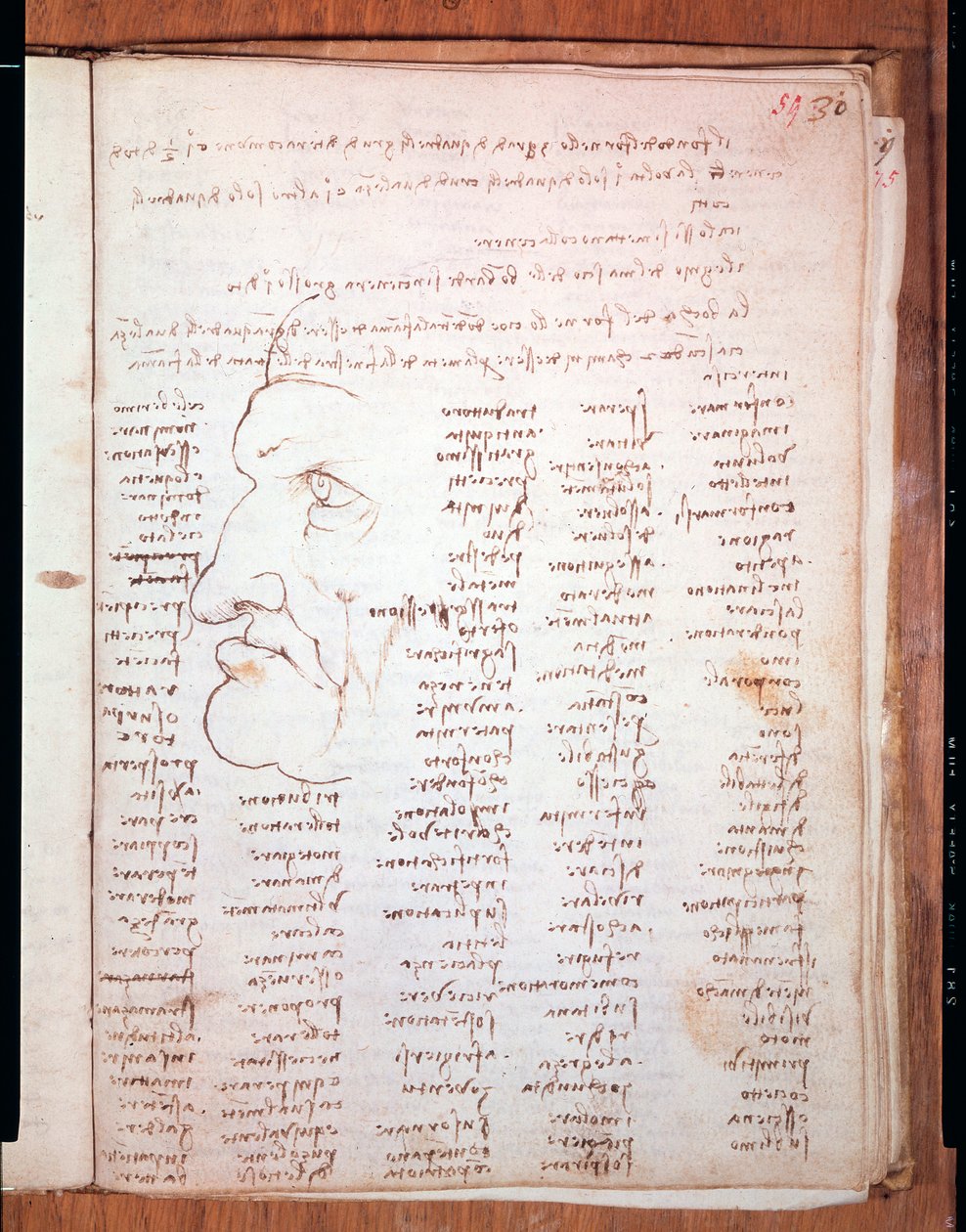 Codex Trivulziano av Leonardo da Vinci (Leonardo da Vinci) (1452 - 1519) - Trivulziana Library, Milano av Leonardo da Vinci