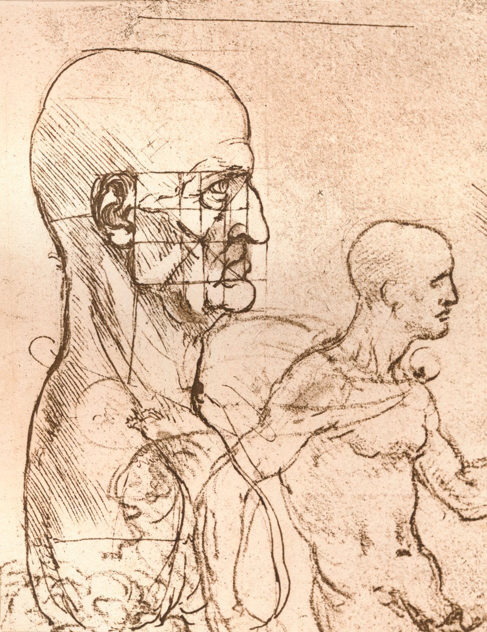 Ritning som illustrerar teorin om proportionerna av den mänskliga figuren, c1472-c1519 1883 av Leonardo da Vinci