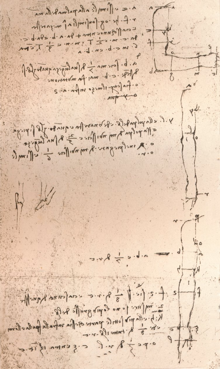 Ritning som illustrerar teorin om proportionerna av den mänskliga figuren, c1472-c1519 1883 av Leonardo da Vinci