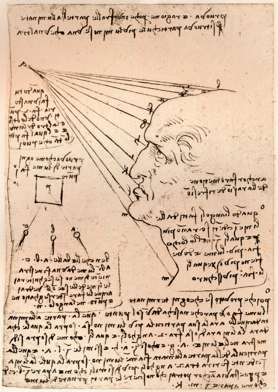 Teckning av ett manligt huvud, som illustrerar övningen att måla, c1472-c1519 1883 av Leonardo da Vinci