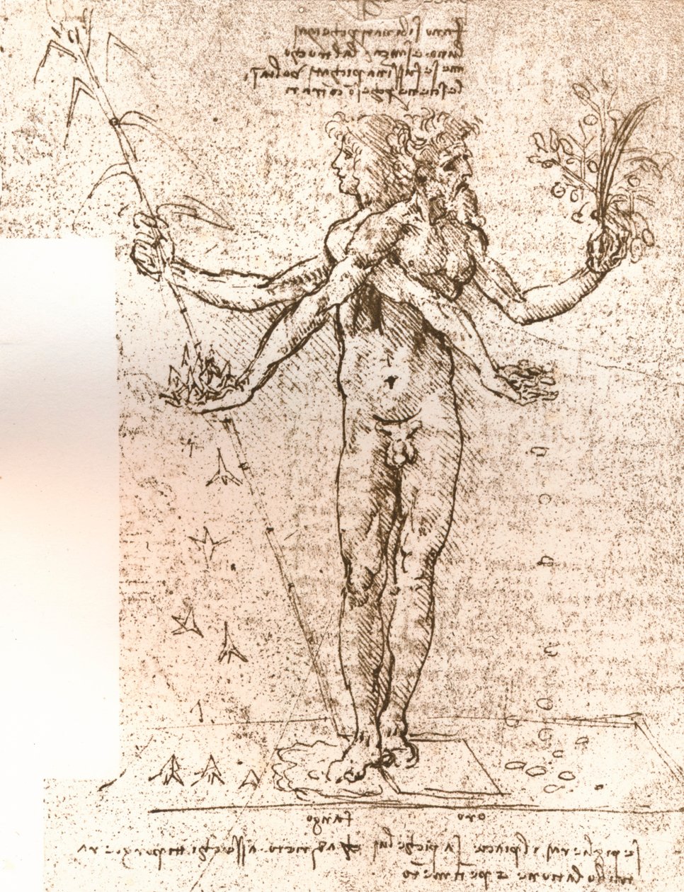 Ritning av en allegorisk komposition, c1472-c1519 1883 av Leonardo da Vinci