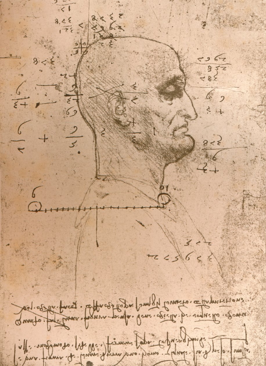 Teckning av huvudet på en brottsling, c1472-c1519 1883 av Leonardo da Vinci