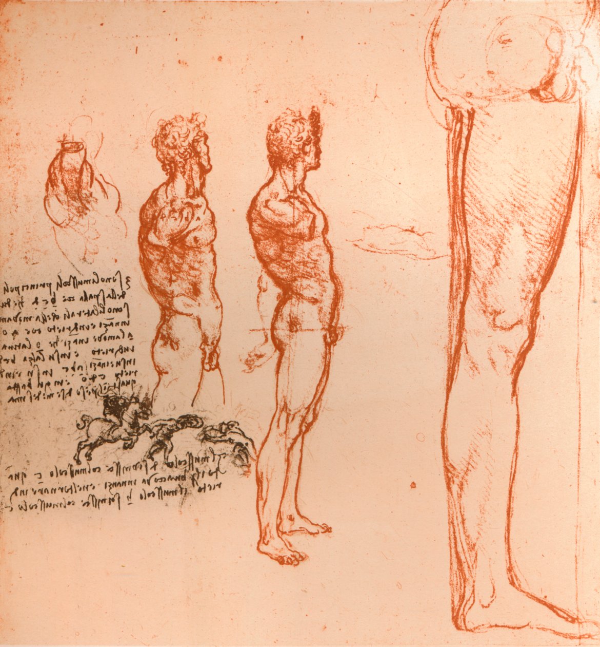 Ritningar som visar den mänskliga figurens rörelser och krigare som slåss, c1472-c1519 1883 av Leonardo da Vinci