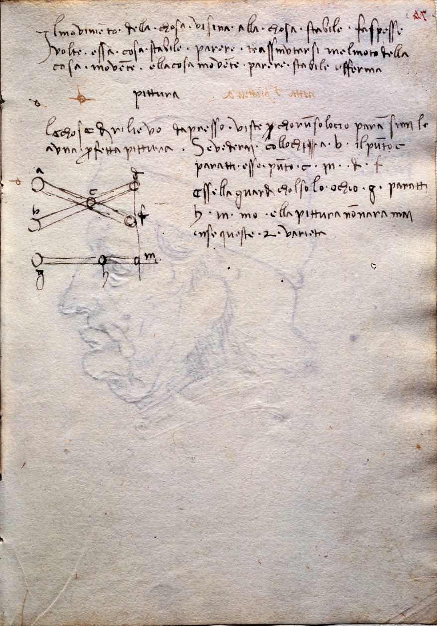 Utdrag ur boken av målningar, från Codex Trivulzianus av Leonardo da Vinci