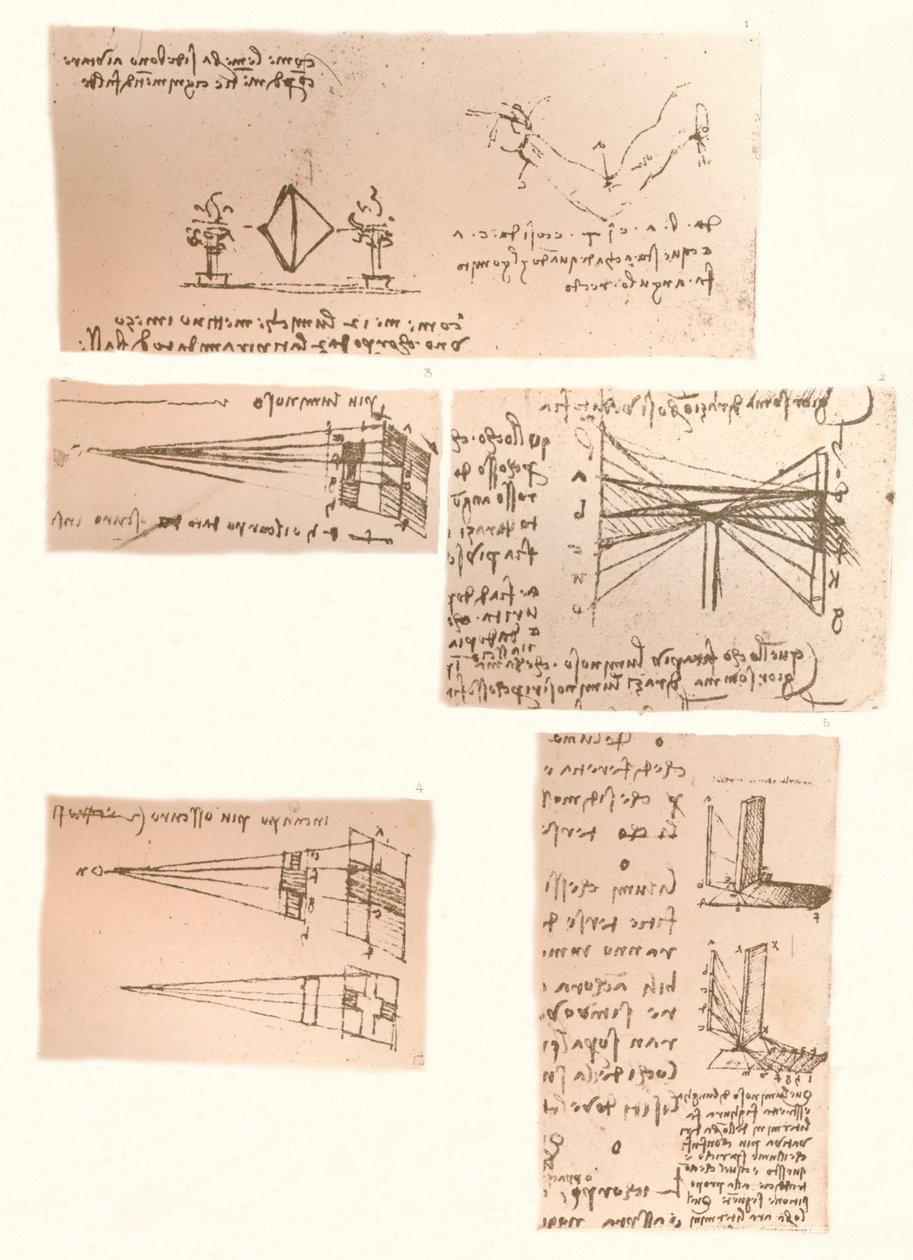 Fem teckningar som illustrerar måleriets teori, c1472-c1519 1883 av Leonardo da Vinci