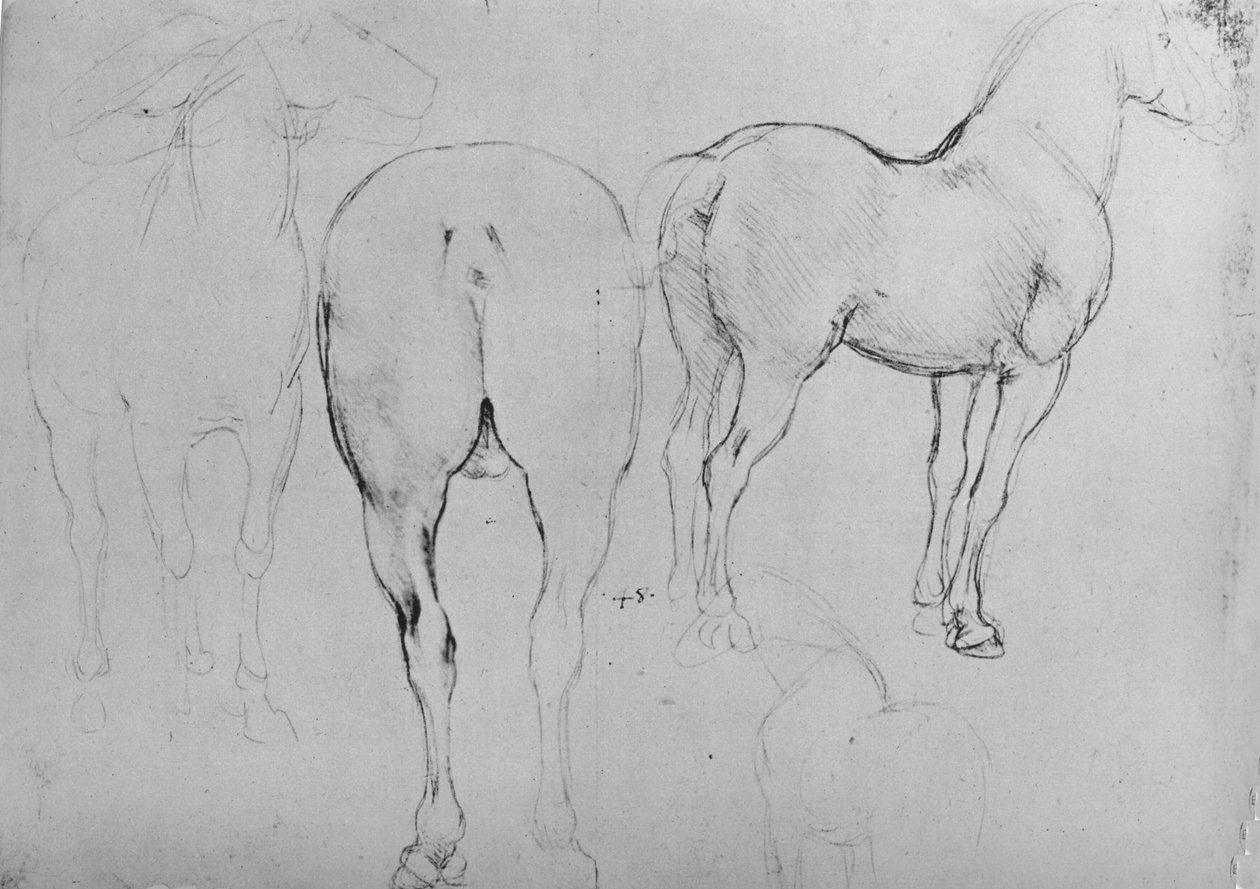 Fyra skisser av hästar, c1480 1945 av Leonardo da Vinci