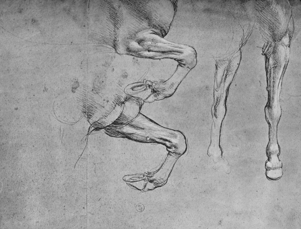 Fyra studier av hästars ben, c1480 1945 av Leonardo da Vinci