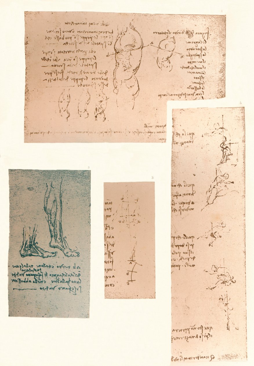 Fyra ritningar som illustrerar teorin om den mänskliga figurens rörelser, c1472-c1519 1883 av Leonardo da Vinci